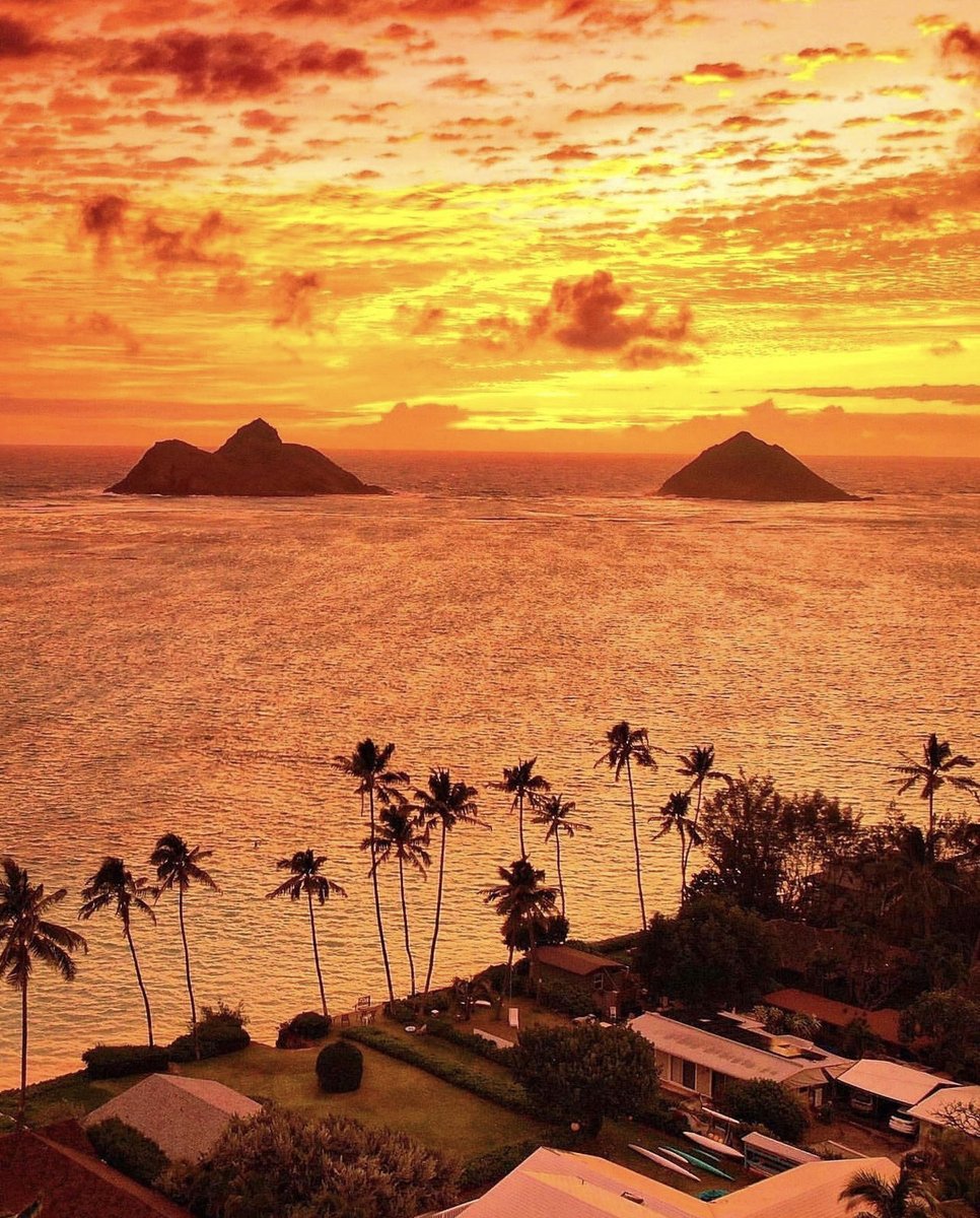 The best time for sunsets in Hawaii is just before the sun sets, typically around 6:00 PM in the winter and 7:00 PM in the summer. 

@s2rp3roi

#BookDirect #ExploreHI #OahuLife #RideTheWave #InstaHawaii #AlohaFriday #BeachVillas #HawaiianVacay #HawaiianHoliday #VisitOahu