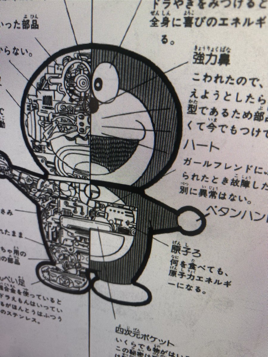 ドラえもん百科」の片倉陽二先生設定ですね ふざけた文章がいい味出し