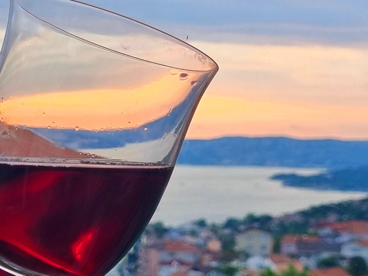 Cok verimli ve dolu dolu  günün akşamı. Haydi afiyetle🙏❤️🧿
#İstanbul 
#bogaz 
#aksam #sunset 
#redwine