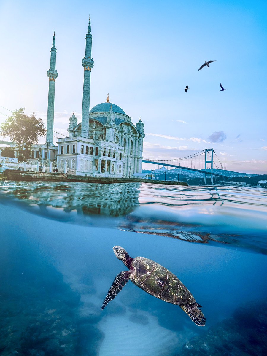 Hasan Akbas tweet media