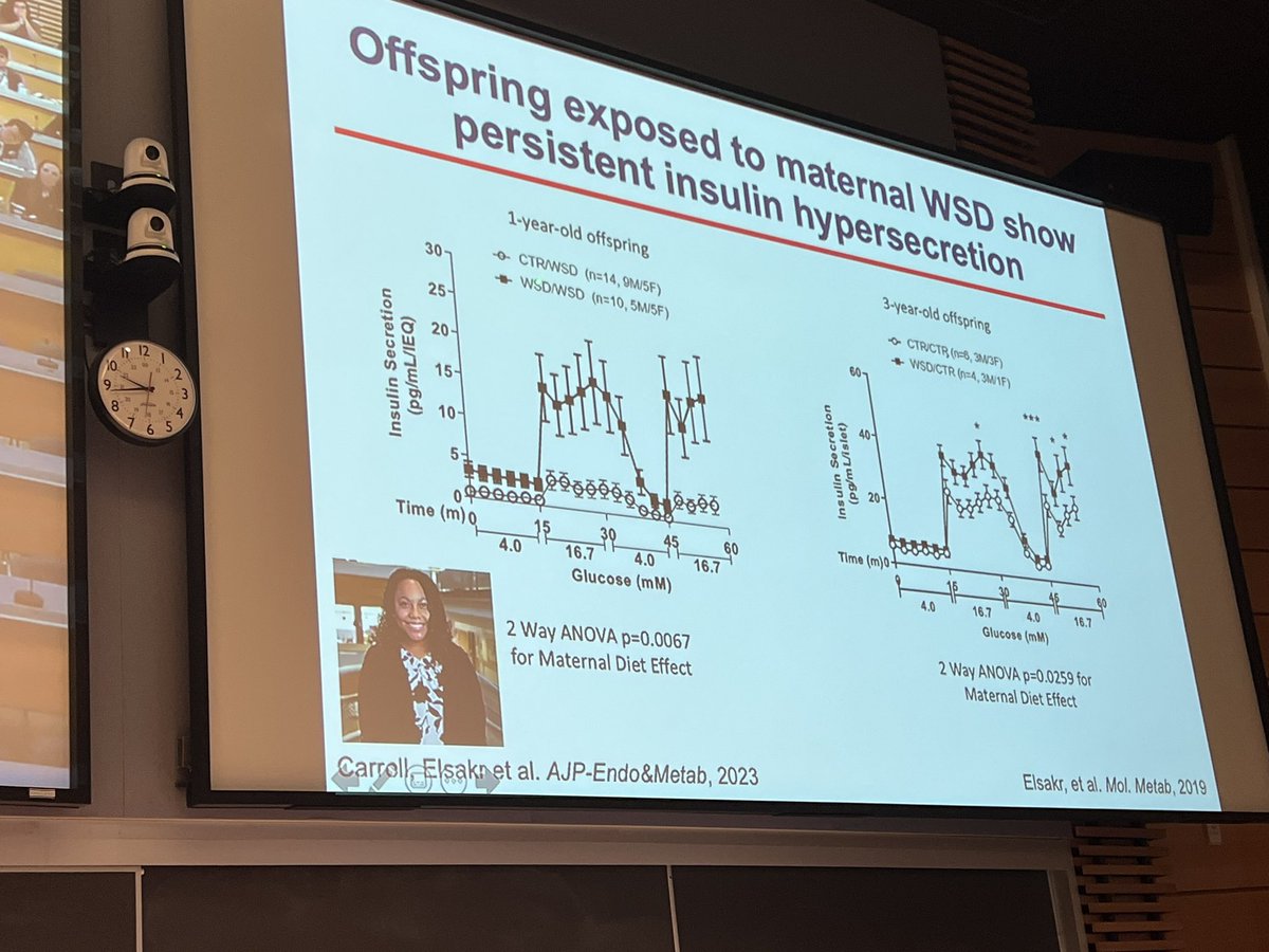 <a href="/GannonLab/">GannonLab</a> showing us that maternal western diet causes hyperinsulinemia in offspring #islets2023. Very interesting that the effects are so strong so early and seen pre-puberty. Data are in NHP