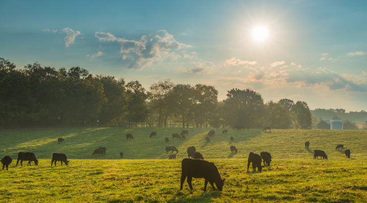 ⏰ Time's running out!

Pennsylvania agricultural producers can apply for <a href="/PennsylvaniaDEP/">PA Department of Environmental Protection</a> rebates to go toward LED lighting, dairy equipment, and ventilation equipment.

Apply by June 30 ➡️ ow.ly/F3OK50OSZkS