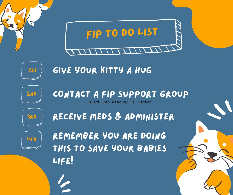 BlackCattRescue's tweet photo. FIP to do list...
It is important to remember our kitties feed off of OUR energy. If you are anxious or upset your kitty will feel that and get upset too. While you are administering the treatment stay calm and peaceful. #fiptreatment #fipcure #fipawareness #blackcatrescue #cats https://t.co/x6liLn9ZHJ