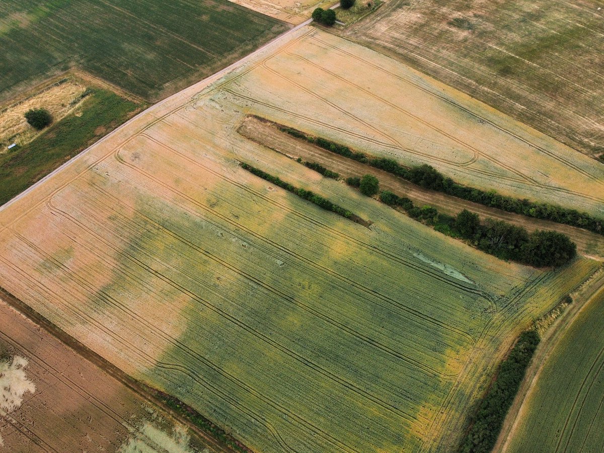 Julien N. tweet media