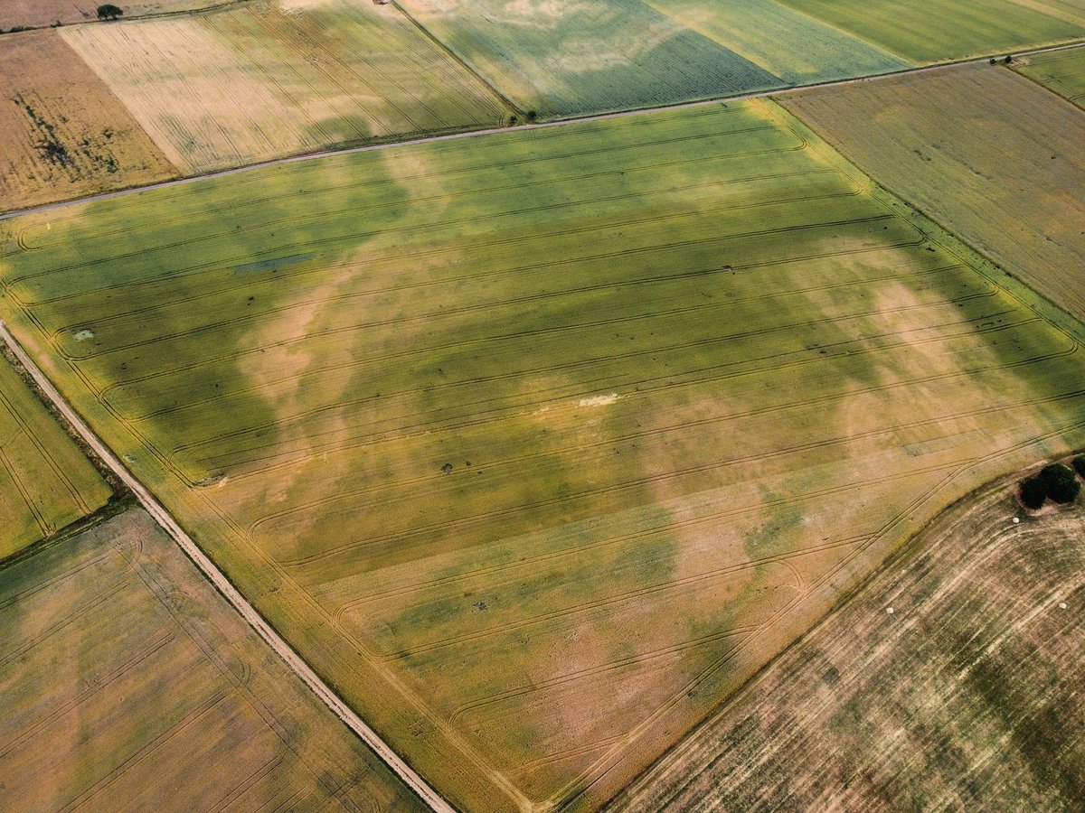 Julien N. tweet media