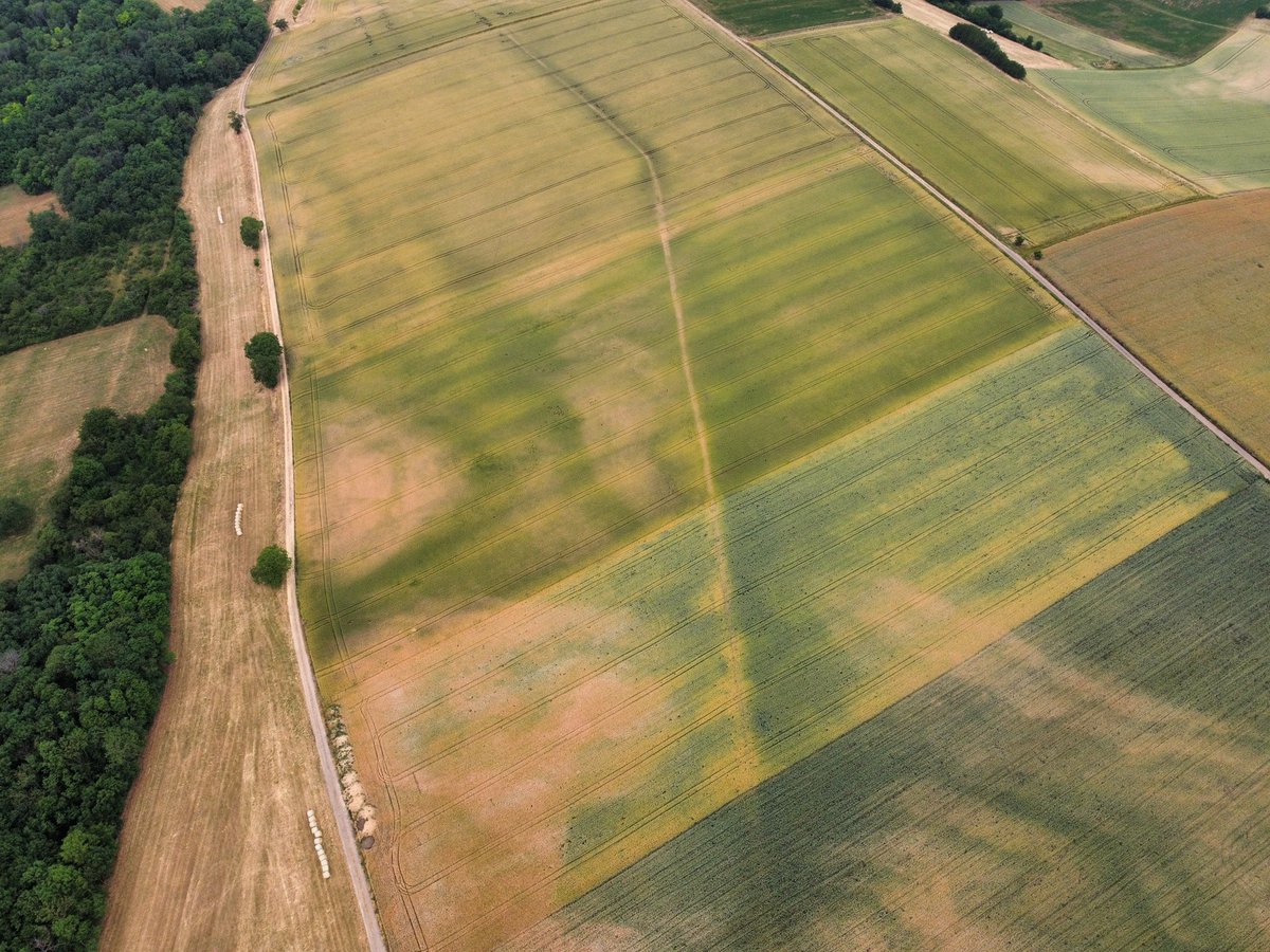 Julien N. tweet media