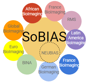 haesleinhuepf's tweet photo. I just attended a stakeholder workshop organized by @cziscience / #Imaging-community (thanks for organizing!)
When thinking about the Society of #BioImageAnalysis (working title "SoBIAS"), and mapping related communities. Who did I forget (unintentionally)?
🔬🖥️🙃
thx 4 feedback! https://t.co/FDmB6cACSg