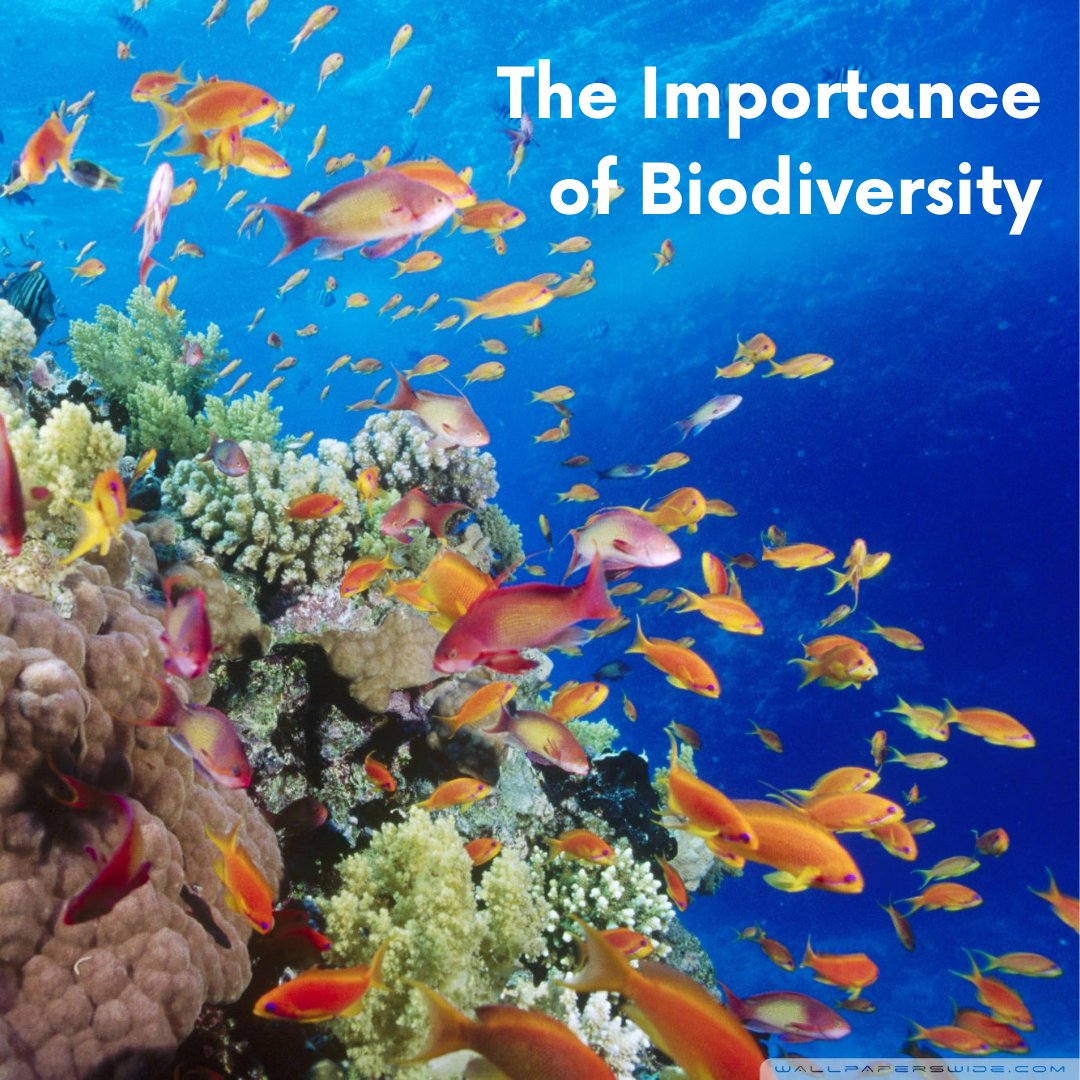 Hey Social Good tweet media