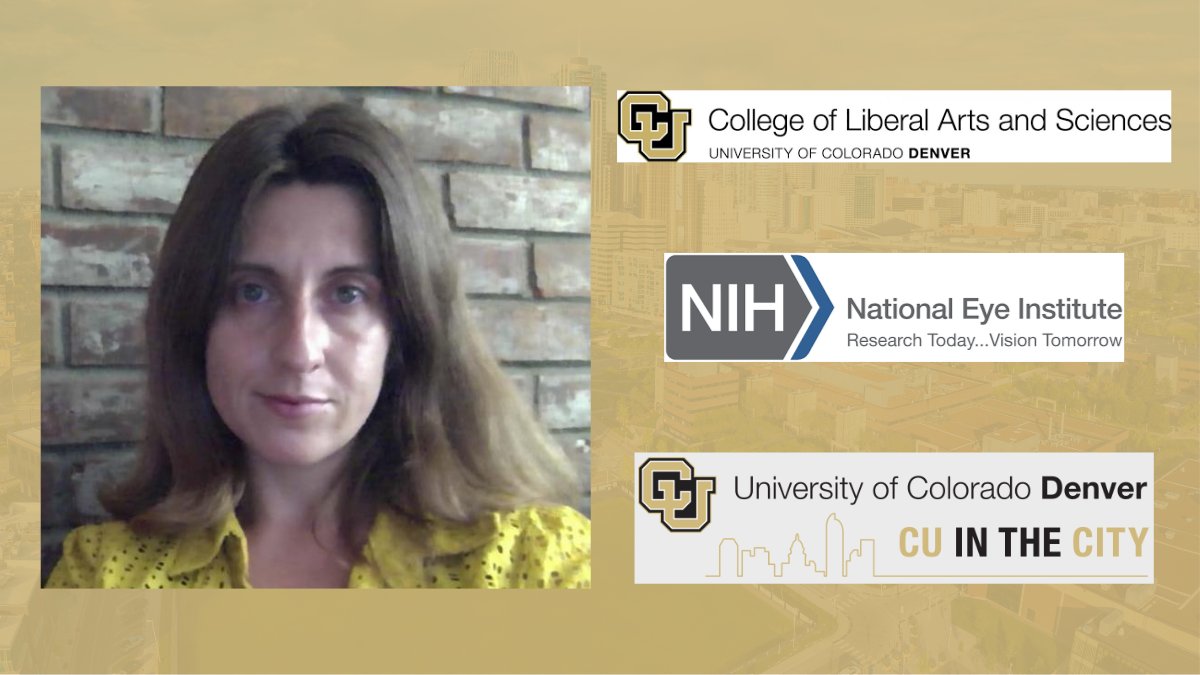 Dr. Carly Leonard, Assistant Professor in the Department of Psychology, is funded by @NIH National Eye Institute for research into the contributions of attentional and inhibitory functioning to saccadic decisions. @CUDenverCLAS #ElevateResearch