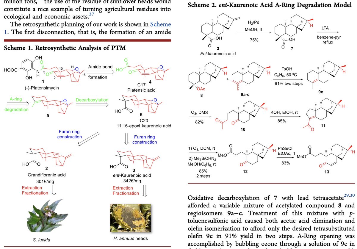 TotalSynthesis's tweet photo. #BioinspiredSynthesis of Platensimycin from Natural ent-Kaurenoic Acids by Álvaro Pérez, José F. Quílez del Moral, Alberto Galisteo, Juan M. Amaro, and Alejandro F. Barrero at @CanalUGR in @JOC_OL https://t.co/IG8x4vnsYG