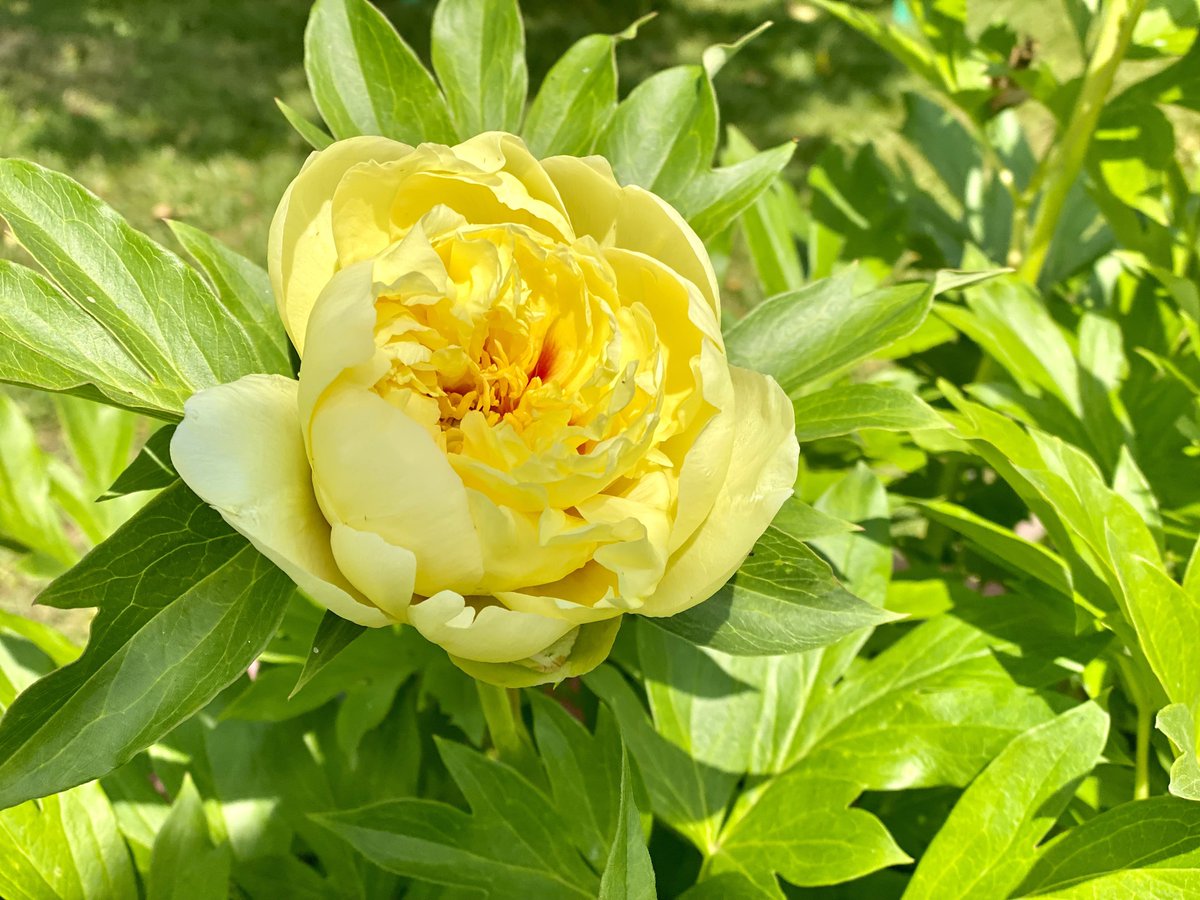 Гулящих tweet media