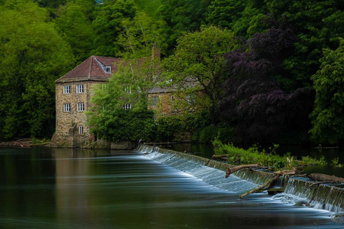 Rowtography | Jason Row Photography tweet media