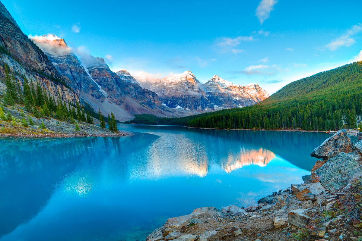 Premier Travel tweet media