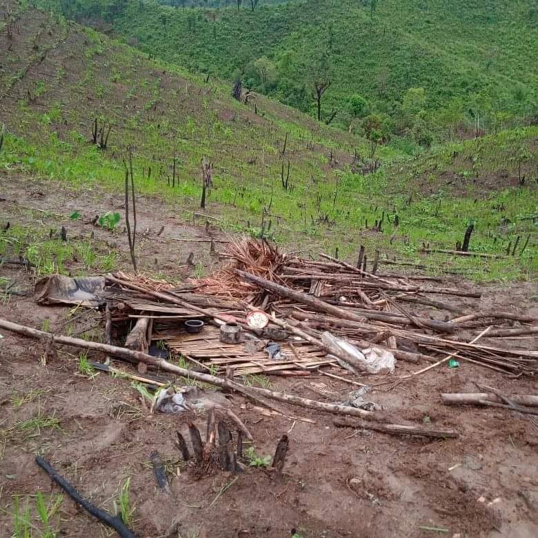 NEpublish24's tweet photo. Nagaland: Phushumi Village Devastated as Herds of Wild Elephants Cause Extensive Damage to Paddy Fields
https://t.co/Es6wDZh6GG https://t.co/HyAsFajXdv