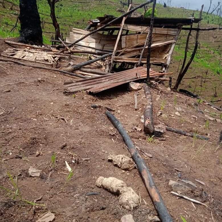 NEpublish24's tweet photo. Nagaland: Phushumi Village Devastated as Herds of Wild Elephants Cause Extensive Damage to Paddy Fields
https://t.co/Es6wDZh6GG https://t.co/HyAsFajXdv