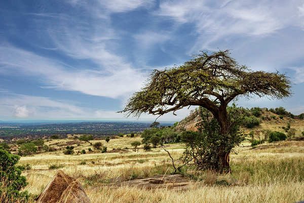 KayBrewer123's tweet photo. New artwork for sale! - "Iconic African Landscape" - https://t.co/DVuKxDryNP @fineartamerica https://t.co/6T0GjLAoDa