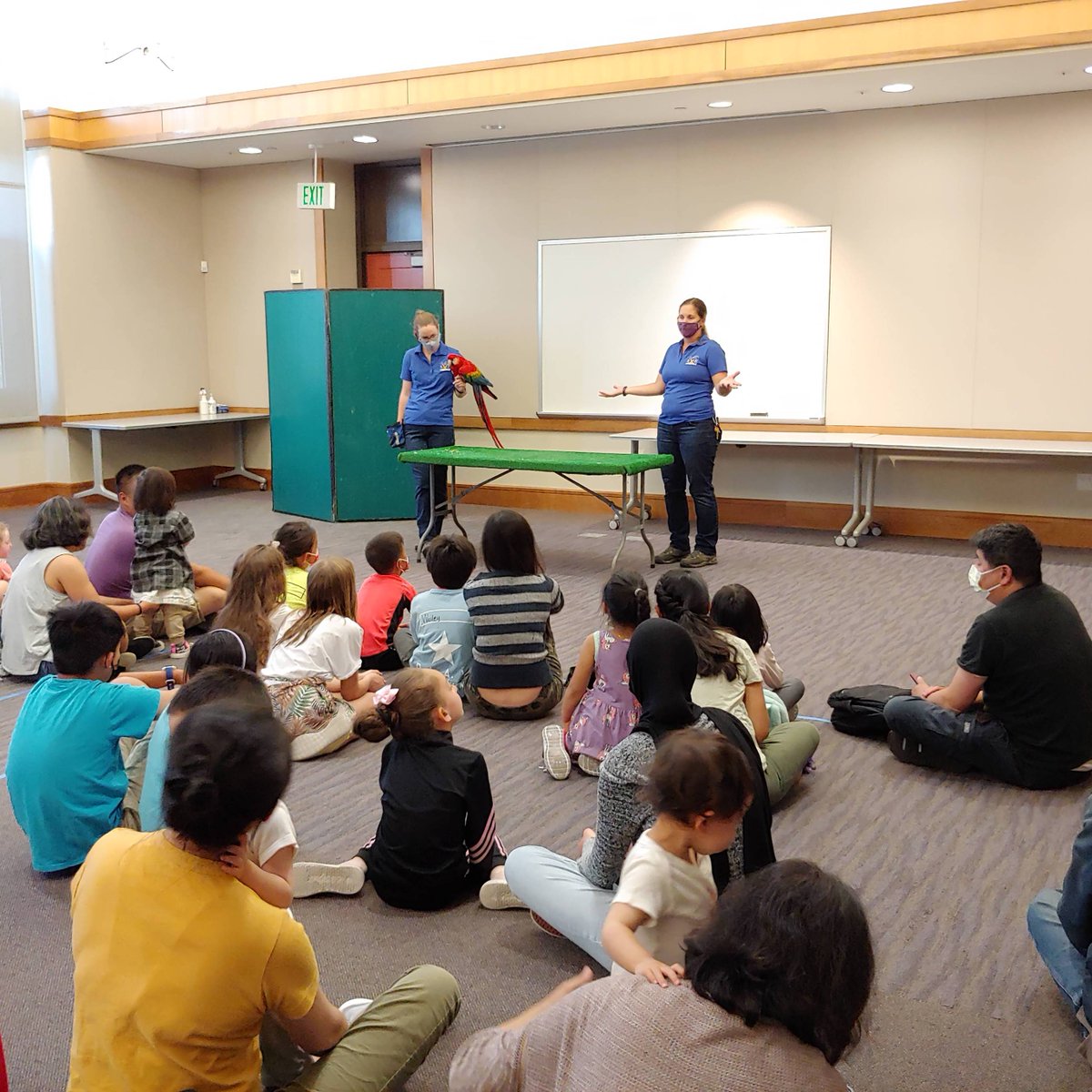 SMCLibraries's tweet photo. Don't forget to drop by your library to see what amazing events are happening this summer! 

🦜🦨🦊Wildmind is bringing their animal friends to all our locations, see when they'll visit your local library on our website.

#ExploreSMCL #SummerLearningChallenge https://t.co/YTq5L6HudL