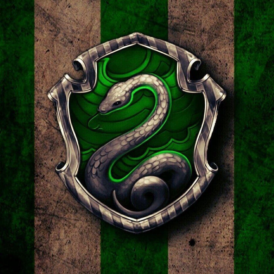 LordVoldemort_S's tweet photo. ¿Cuál es tu casa de Hogwarts? https://t.co/bnWyiBXilf