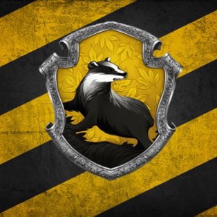 LordVoldemort_S's tweet photo. ¿Cuál es tu casa de Hogwarts? https://t.co/bnWyiBXilf
