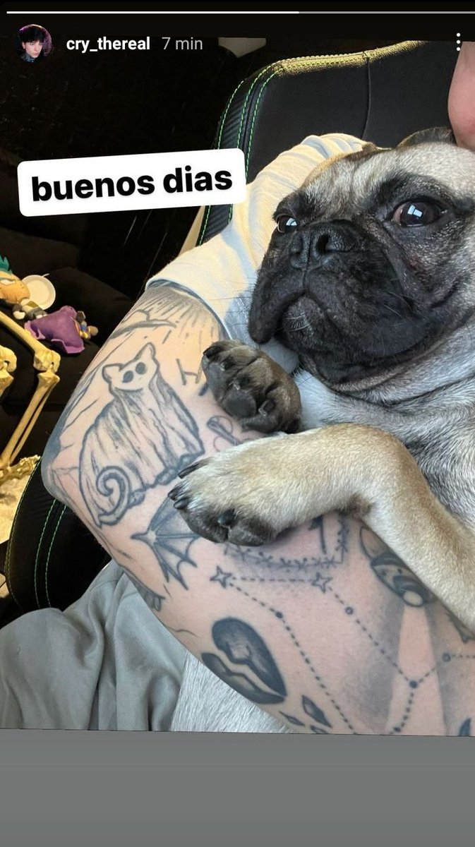 Happy y Teddy updates tweet media