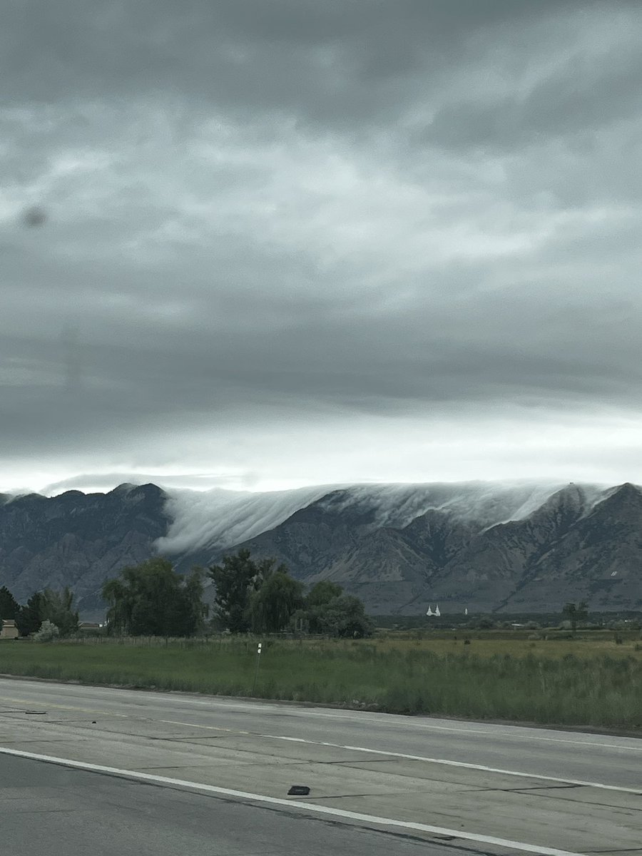 Grayson Murphy tweet media