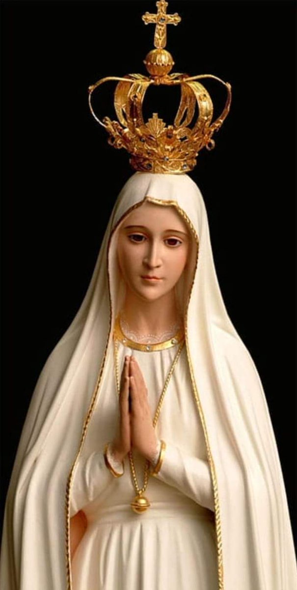 kamalpushpa88's tweet photo. Mother mary pray for us https://t.co/74ZSm5wGLK