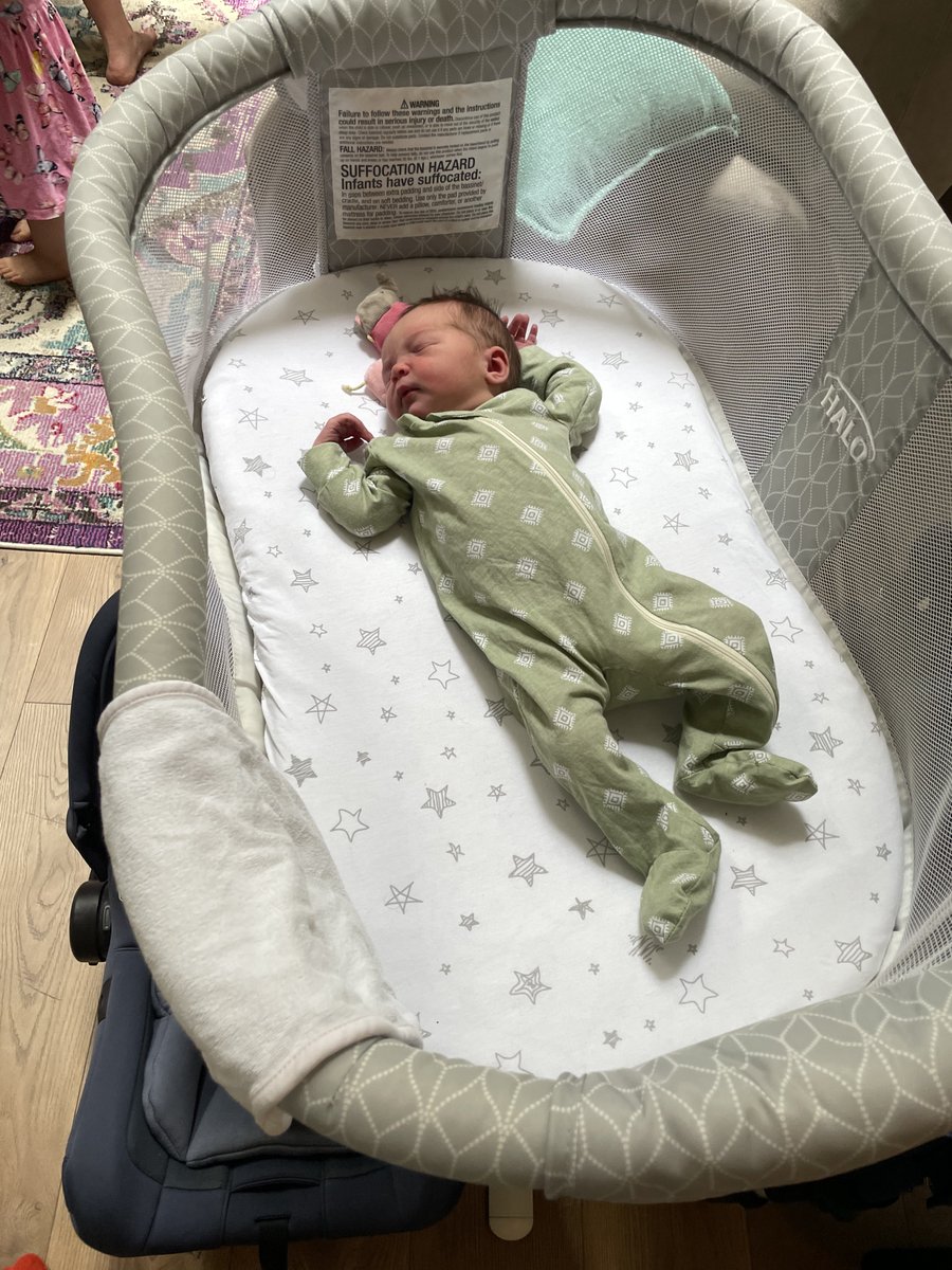 Alex Potash tweet media