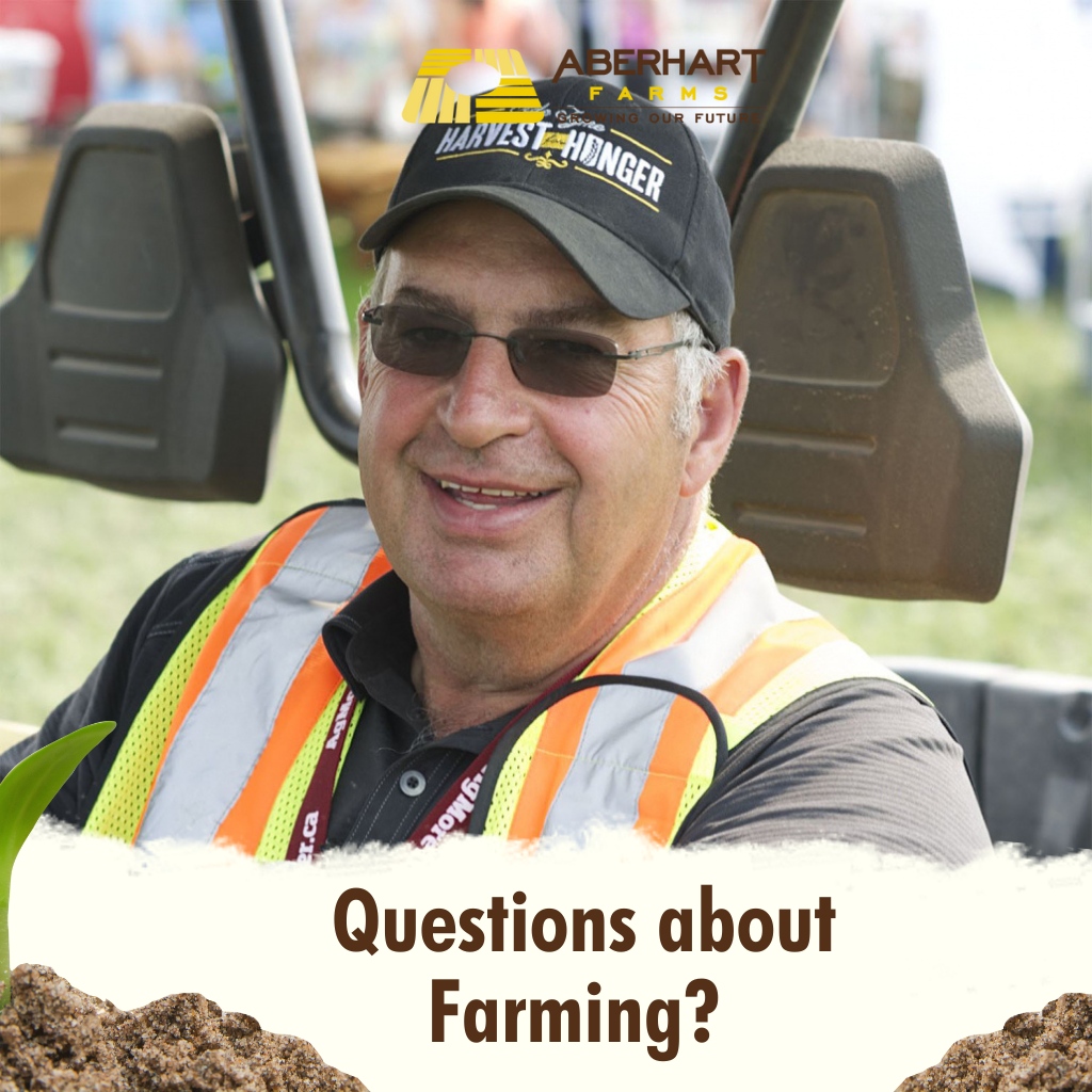 Questions about Farming? 

If you have any questions about farming, we are here to explain.  Connect with us today: aberhartfarms.com/contact/ 

'Growing Our Future'
#GrowingTheFuture #Farming #AG #AgriBiz #Farmer #FamilyFarm #SK #CdnAG #ProgressiveFarming