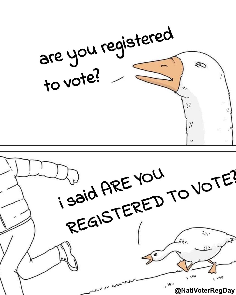 Operation Angry Goose: A new voter outreach method we're piloting in 2023 🪿