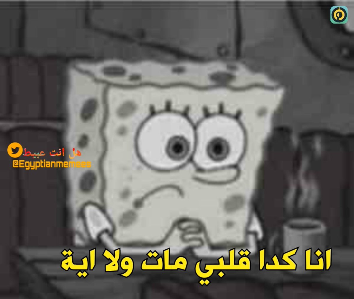 Egyptianmemees's tweet photo. لما الاقي نفسي لا بقيت احب حد ولا اكره حد ولا حد يوحشني ولا حد يفرق معايا https://t.co/TK3BKwuthp