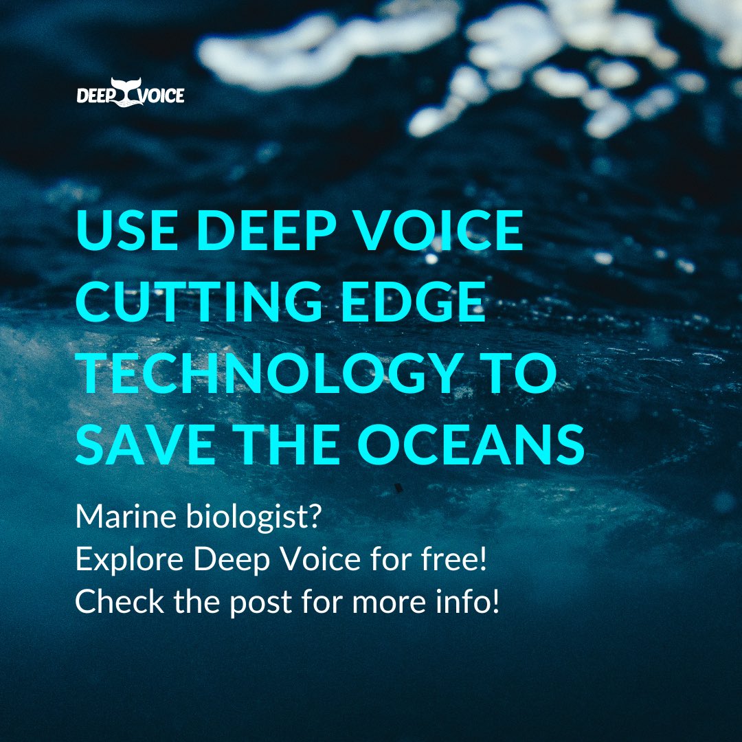 whalevoiceIL's tweet photo. Are you a marine biologist?            Send us a DM to receive additional information 🐳 https://t.co/TyadWTsn6H