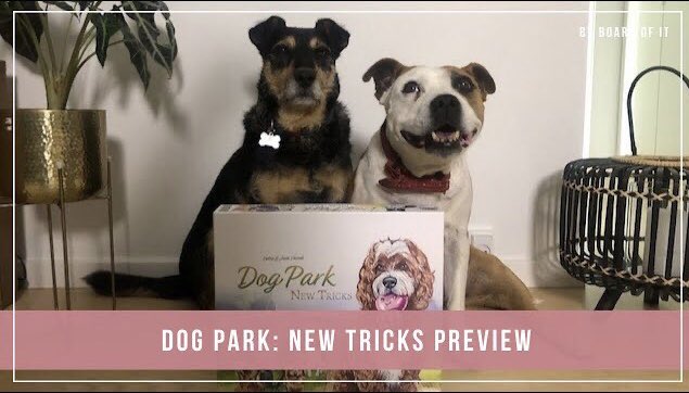 Board Of It Reviews tweet media