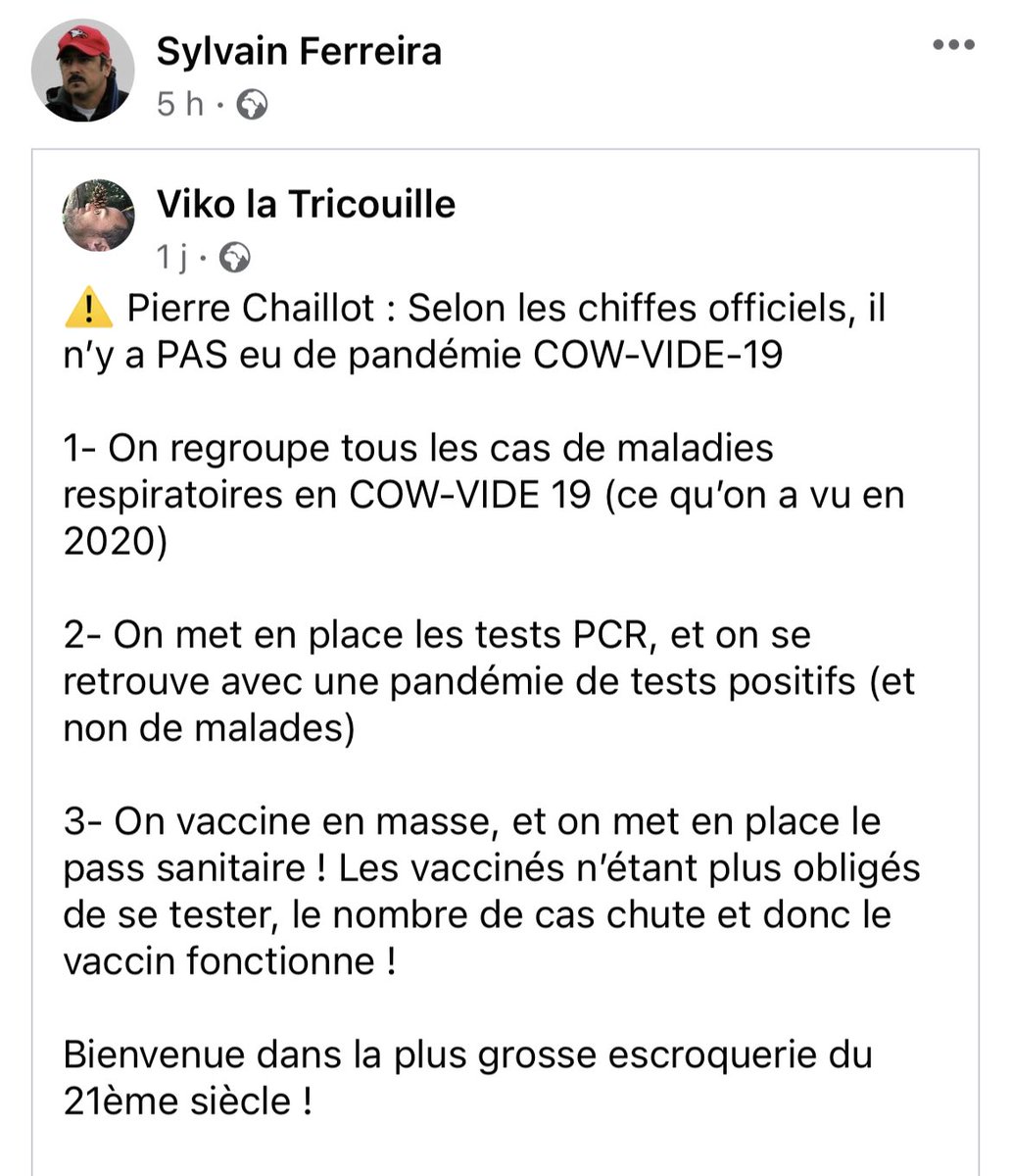 Sylvain se lance dans l’épidémiologie avec le même niveau de compétences que dans l’histoire militaire.