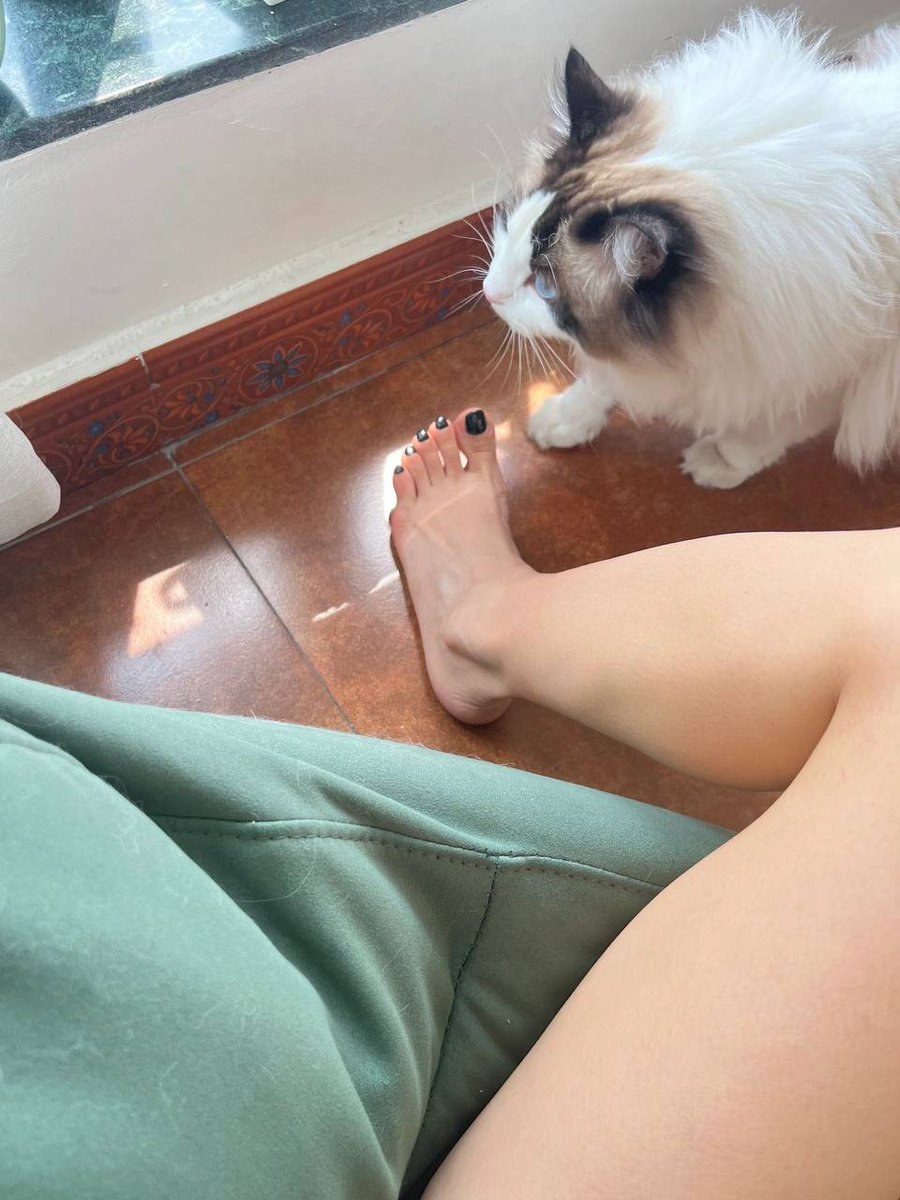 Covered in cat hair, love it and hate it
