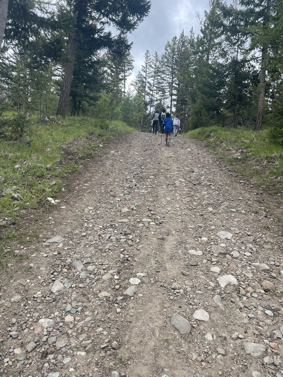 Vermilion Forks Elementary tweet media