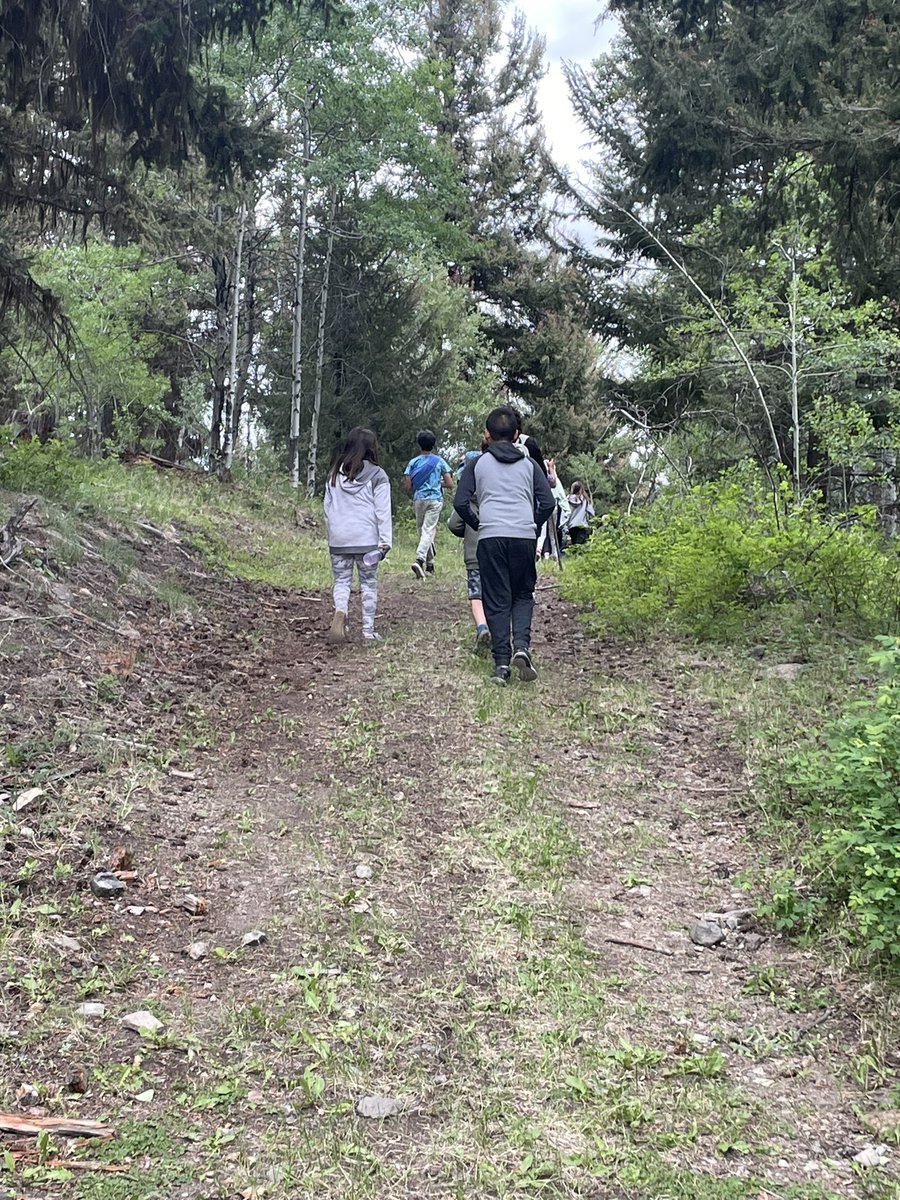 Vermilion Forks Elementary tweet media