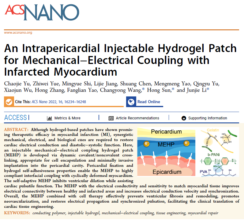 MappingLab_EP's tweet photo. Yu et al (2023) showed an injectable MEHP combined with cell therapy effectively prevents ventricular fibrosis & remodeling, promotes neovascularization & restores electrical propagation & synchronized pulsation, facilitating the clinical translation of cardiac tissue engineering https://t.co/0if9Ee8x2g