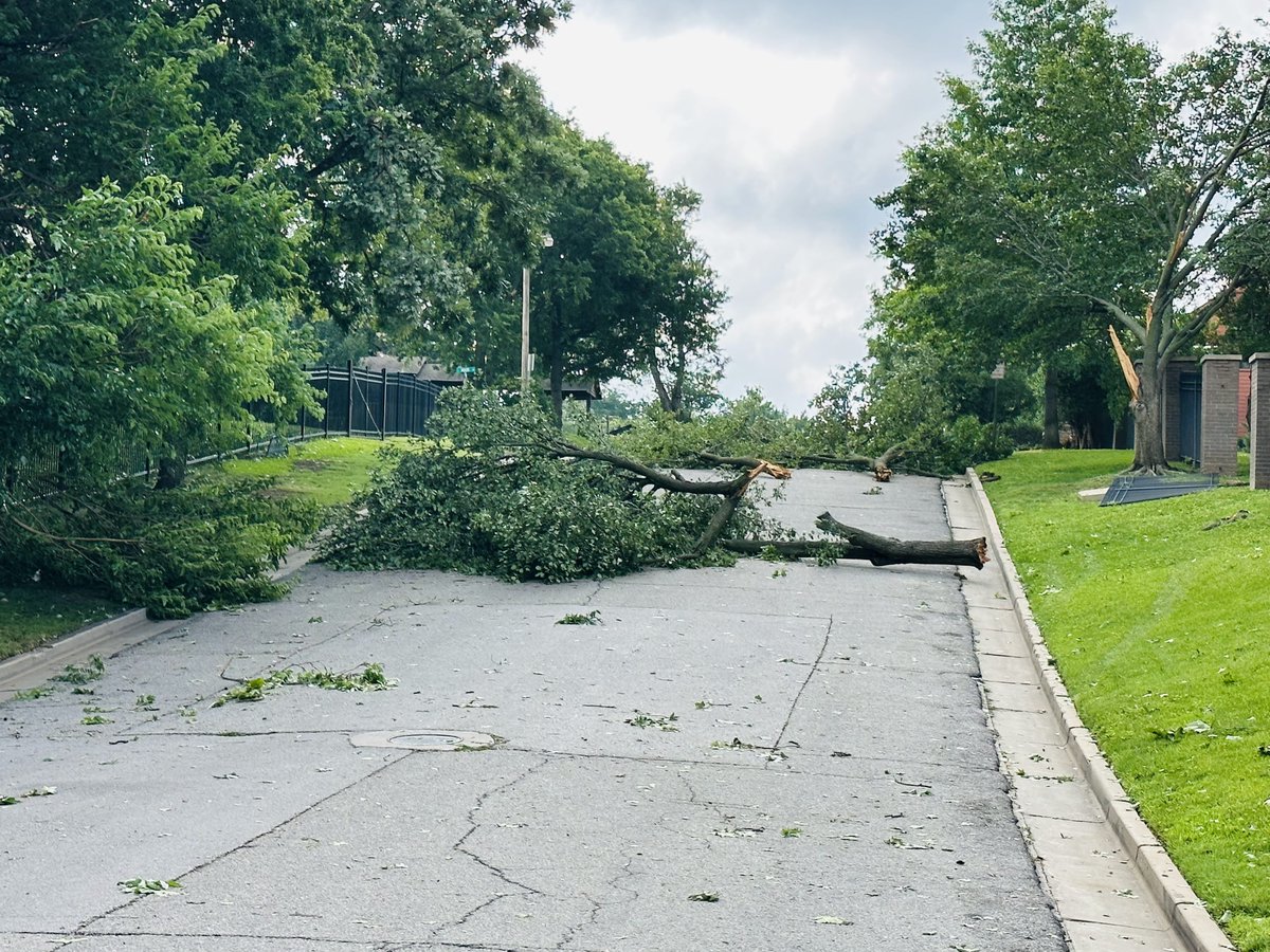 TulsaPolice's tweet photo. WATCH OUT FOR STORM DEBRIS SCAMMERS! 
- Be cautious of people going door-to-door looking for work.
- NEVER PAY UPFRONT BEFORE WORK IS DONE
- Do research on a company before hiring

MORE TIPS HERE: https://t.co/QpH6GpwE8G

#TulsaPolice https://t.co/Y45T0h6Dsn