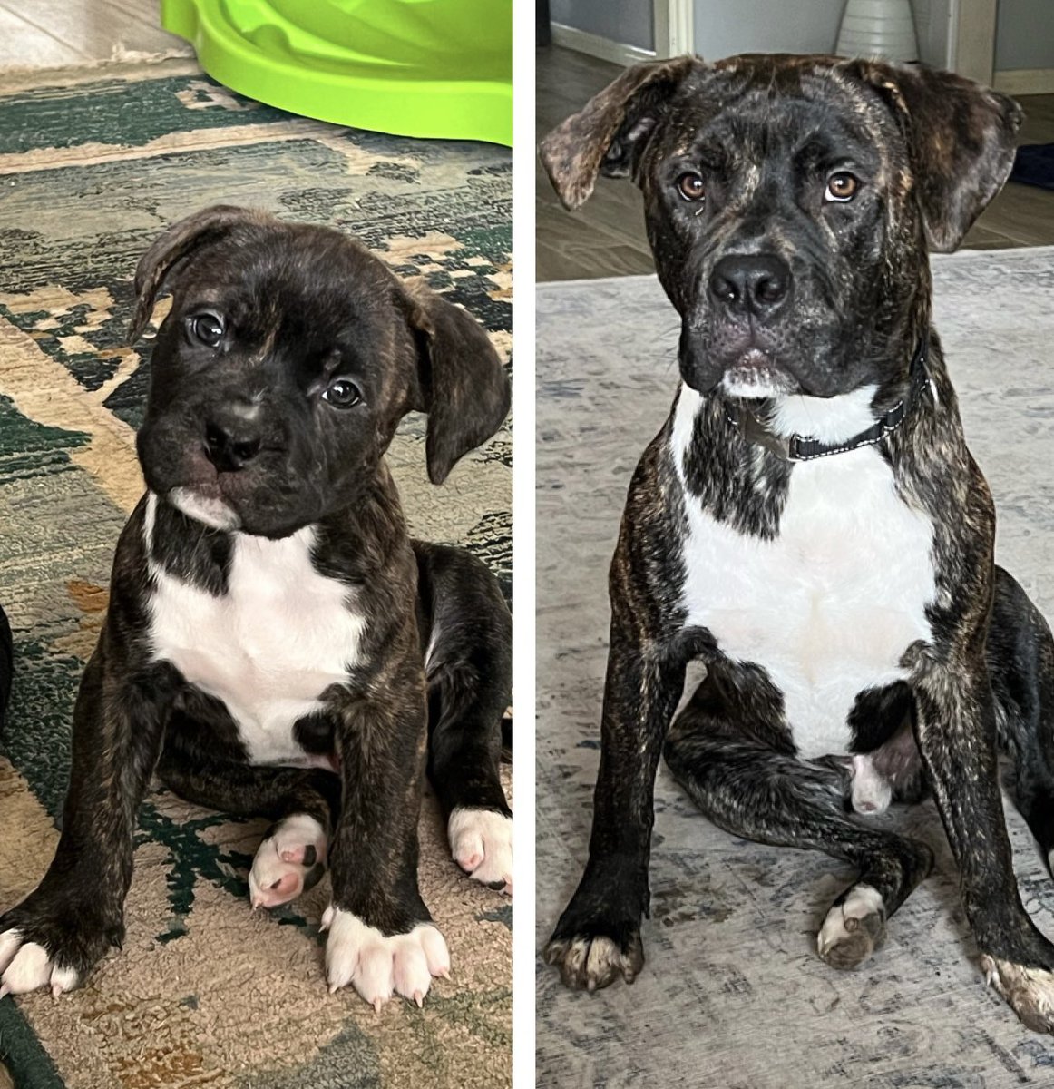 Haley Crosby tweet media