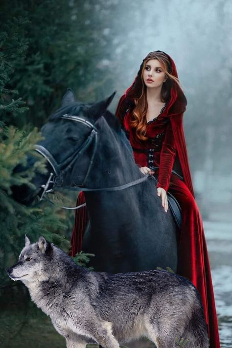 🌹🐺🌹 #TeamWolFPack @NiteWolF_1 @botagain @Hapalochlaena2 @MarthaCandia21 @ALESXIA_1 @Jemaco40 @JIMENAC__ @PackWolF_1 @KalouYalewa @Zegdie @2Ava6 @KIACHIARA1 @MARTHA_CAN2 @Ashes2Angels @MacyStotty @SHAYEXR @enaidre @leilasbsantos @yelarvel @TOP_ANAHI @___1776__