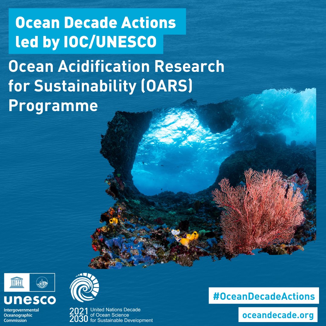 ✨ The #IOC32 starts tomorrow at #UNESCO HQ, in #Paris. ✋Follow us as we present the work of our incredible IOC/UNESCO-led endorsed Actions that are advancing the #knowledge needed to achieve the Vision 2030! Want to discover more? 📲lnkd.in/dmk3H2GE  #OceanDecade