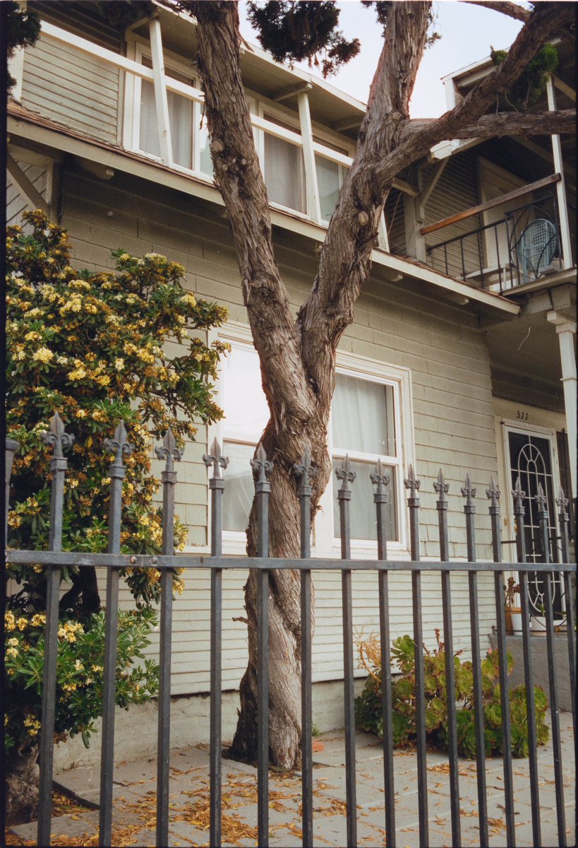 weltkai's tweet photo. some @CineStillFilm 400D from my last few days in LA 🌿 https://t.co/51dTc6wo3W