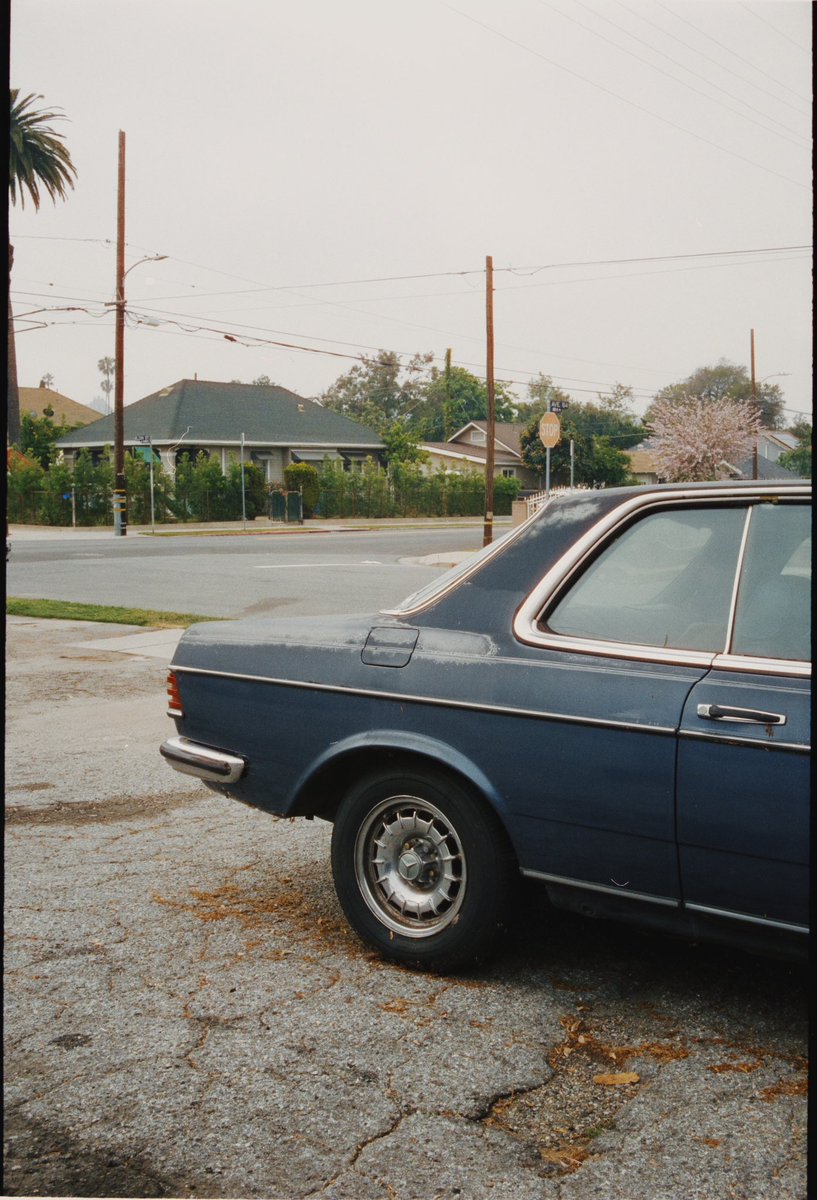weltkai's tweet photo. some @CineStillFilm 400D from my last few days in LA 🌿 https://t.co/51dTc6wo3W
