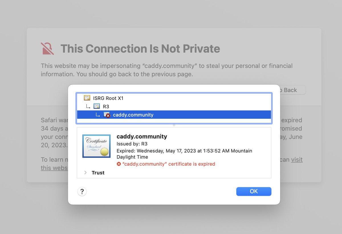 🧗‍♂️ Matt Holt tweet media