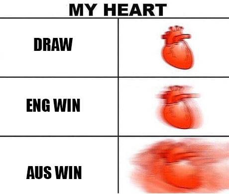 factzcheck's tweet photo. Anyone feeling the same ?
 #ENGvAUS #ashes #stokes #cummins #england https://t.co/WN61FXZUiH