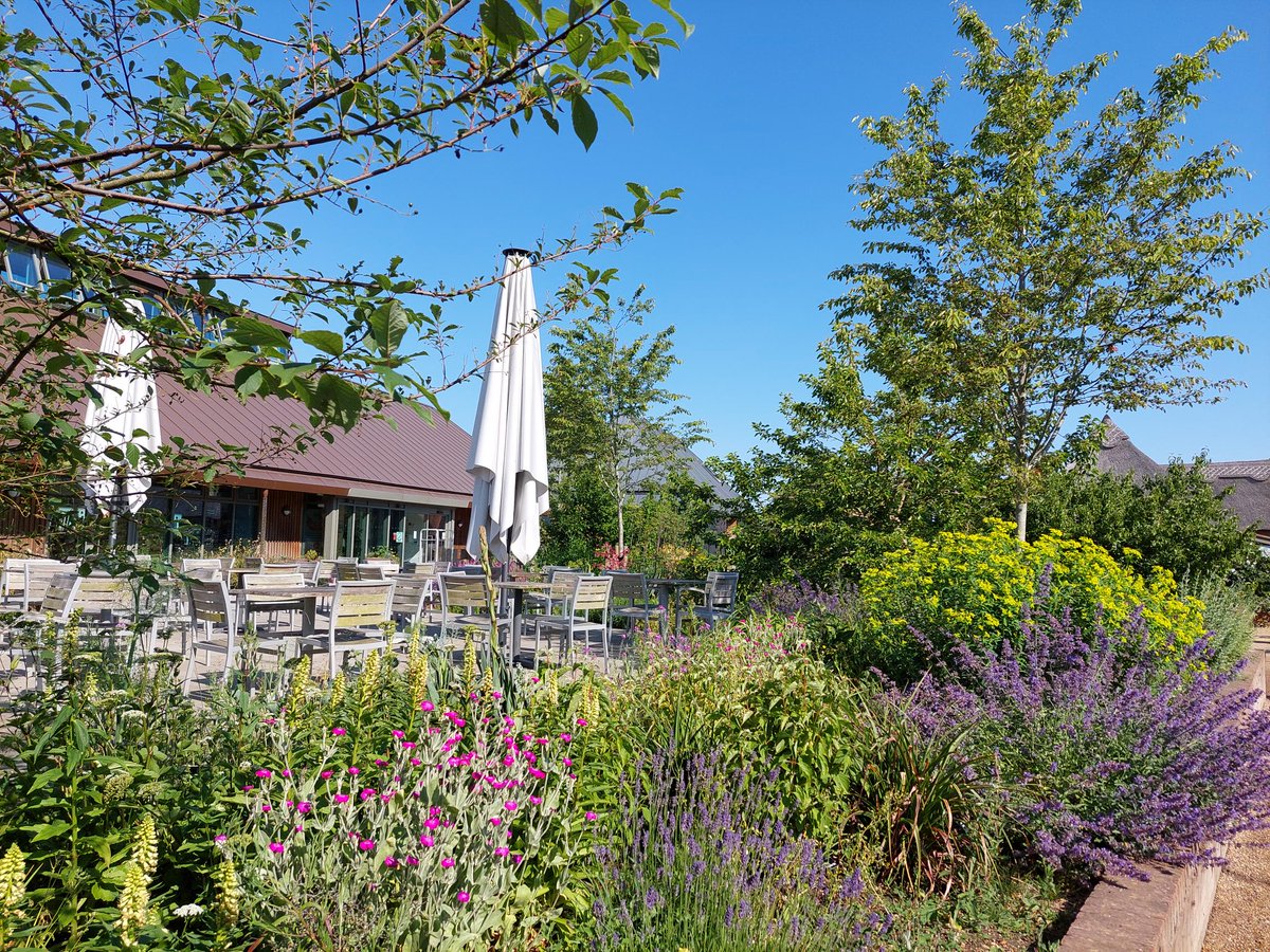 Rhs garden hyde hall on twitter one of the highlights of summer is