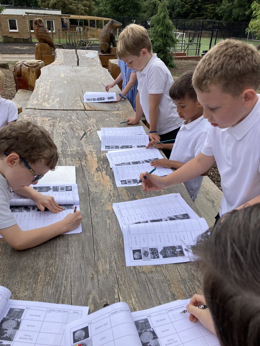 DanesfieldY2's tweet photo. An awesome Science lesson today hunting for different trees, plants and animals in our environment. @DanesfieldSchl https://t.co/rg24xYeO1a