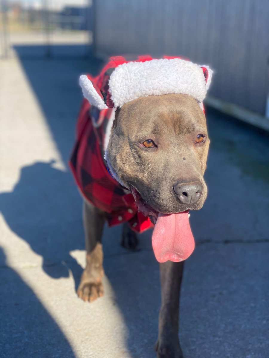 U.S. Marshals on Twitter "Puncher’s Chance Rescue & Sanctuary of the