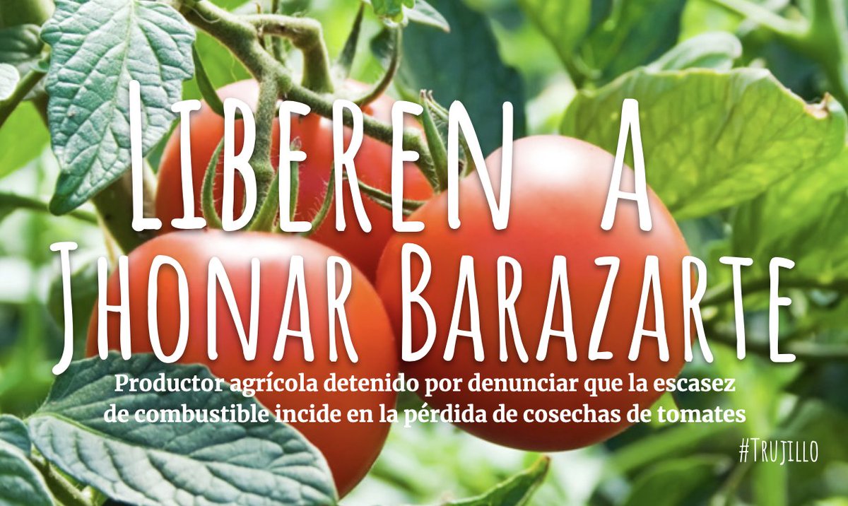 kaoru_yonekura's tweet image. Y al de los #Tomates.