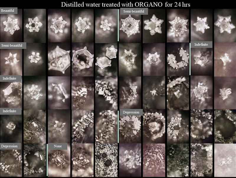 Dr. Masaru Emoto was a prominent Japanese businessman, scientist, and author, whose unique work sought to elucidate the mysterious relationship between human consciousness and the molecular structure of water.

shamanicgarden.earth/expanded-consc…